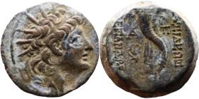 Alexander II Zabinas (Seleukid King: 128 BC-123 BC) Silver coin. Obverse: Diademed head of Alexander II right Reverse: Filleted double cornucopiae ori...