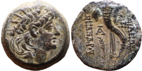 Alexander II Zabinas (Seleukid King: 128 BC-123 BC) Silver coin. Obverse: Diademed head of Alexander II right Reverse: Filleted double cornucopiae ori...