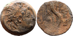 Alexander II Zabinas (Seleukid King: 128 BC-123 BC) Silver coin. Obverse: Diademed head of Alexander II right Reverse: Filleted double cornucopiae ori...