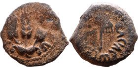 JUDAEA. Jerusalem mint. Agrippa I (under Claudius, 37-44 AD). AE prutah. Obv.: ΒΑCΙΛΕWC ΑΓΡΙΠΑ; Umbrella-like canopy with fringes. Rev.: Three ears of...