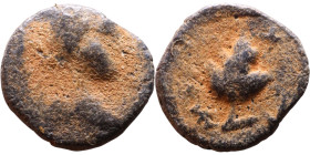 JUDAEA. Jerusalem mint. First Jewish Revolt (66-70 AD). AE prutah. Obv.: Two handled amphora. Rev.: vine leaf on small branch, bears the legend "for t...