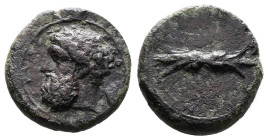 Sicily. Syracuse. Hemilitron struck under Dion. Circa 357-354 BC. Bronze (17.03 mm, 4.01 g.). ZEYΣ EΛEYΘEPIOΣ. Bearded and laureate head of Zeus Eleut...