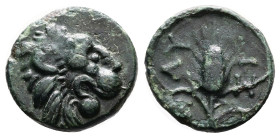 Thrace. Lysimacheia. Circa 309-220 BC. Bronze (15.55 mm, 3.30 g.). Head of a lion right. Rev. ΛY–ΣI. Grain ear; to lower left, monogram. CNG E-Auction...