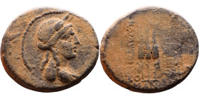 Apameia ad Orontem, Syria, (I Century BC) Bronze coin. Obv: . Head of Dionysos right, wreathed with ivy Rev: Three corn ears

Artificial sand patina...