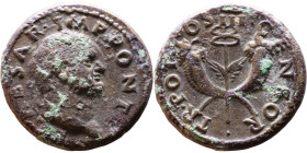 Vespasian (69-79) Bronze coin Obv: Laureate, draped bust of emperor. Rev: winged caduceus between crossed cornucopiae

26mm 12.00g