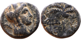 Tyre, Phoenicia (I century) Bronze coin. Obv: Turreted head of Tyche right, palm branch over shoulder Rev: Palm tree

16mm 3.00g