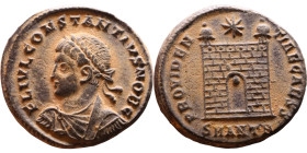 Constantius II (Caesar: 324-337) Follis. Obverse: Laureate, draped, cuirassed bust Reverse: Campgate

Artificial sand patina

19mm 3.34g