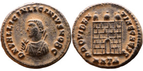Licinius II (317-324 AD) follis. Obv: Laureate,draped, cuirassed bust Rev: Campgate

Artificial sand patina

18mm 3.31g
