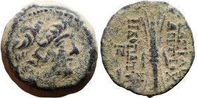 Antiochus IX Cyzicenus (Seleukid King: 114-95 BC). AE bronze. Obv.: diademed head of Antiochus right. Rev.: Titles to right and left of winged thunder...