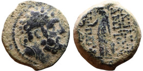 Greek Bronze coin. (IV-I century BC)

17mm 4.35g