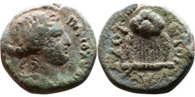 Greek Bronze coin. (IV-I century BC)

14mm 2.93g