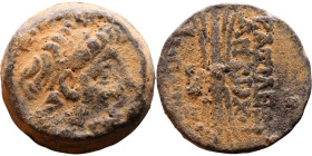 Antiochus IX Cyzicenus (Seleukid King: 114-95 BC). AE bronze. Obv.: diademed head of Antiochus right. Rev.: Titles to right and left of winged thunder...