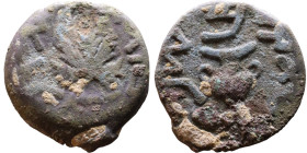 JUDAEA. Jerusalem mint. First Jewish Revolt (66-70 AD). AE prutah. Obv.: Two handled amphora. Rev.: vine leaf on small branch, bears the legend "for t...
