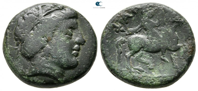 Thessaly. Phakion 300-275 BC. 
Trichalkon Æ

20 mm., 7,00 g.

Diademed head...