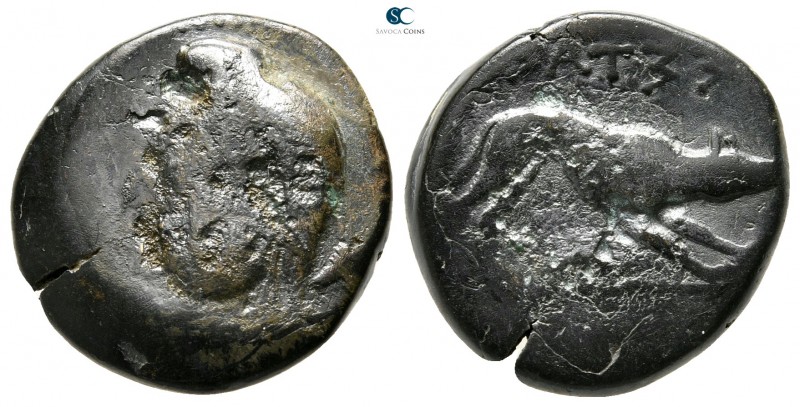 Thessaly. Phaloreia 302-286 BC. 
Bronze Æ

19 mm., 6,57 g.

Head of Athena ...