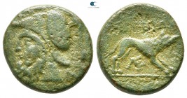 Akarnania. Argos Amphilochicon 200-100 BC. Bronze Æ