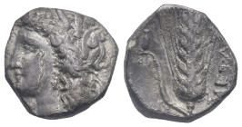 Lucania, Metapontion. Nomos, circa 330-290. (Silver,18.99 mm, 7.40 g.). Head of Demeter l., wearing grain wreath. Rv. Barley grain, with ear l.; ampho...