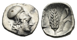 Lucania, Metapontion. Circa 325-275 BC. AR, Obol (Silver, 11.37 mm, 1.18 g). Helmeted head of Athena r. Rv. Ear of grain with leaf r. and cornucopia a...