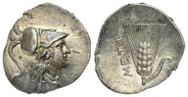 Lucania, Metapontion. Half Shekel, Punic occupation, circa 215-207 BC. (Silver, 21.00 mm, 3.86 g.). Helmeted head of Athena r., wearing crested Corint...
