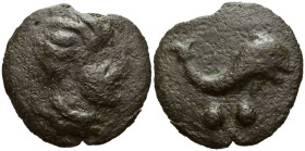 Umbria, Ariminum Biunx circa 264-241 BC. - From a private Swiss collection.