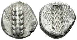 Lucania, Metapontum Nomos circa 480-440