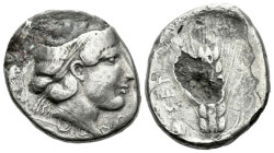 Lucania, Metapontum Plated nomos circa 400-340