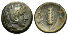 Lucania, Metapontum Bronze circa 300-250