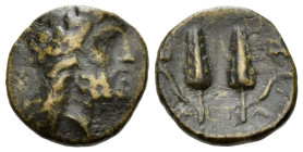Lucania, Metapontum Bronze circa III century - From the John Morcom collection.