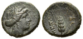 Lucania, Metapontum Bronze circa 300-250