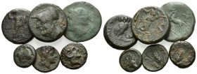 Lucania, Metapontum Large lot of 6 Bronzes circa III century