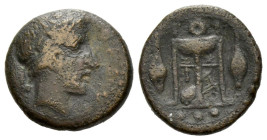 Sicily, Leontini Tetras circa 405-402 - From the Collection of Jacqueline Morineau Humphris.