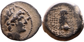 Antiochus VIII Epiphanes (Seleukid King: 121-96 BC). AE bronze. Obv.: Radiate head of Antiochus VIII right. Rev.: Owl, looking forward, standing right...
