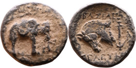 Seleukos I Nikator (Seleukid King: 312-260 BC). AE bronze. Obv.:  B0ridled horse head right Rev: Elephant walking right