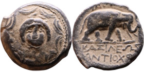 Antiochus I Soter (Seleukid King: 281-261 BC). AE bronze. Obv.: Macedonian shield with anchor in central tondo Rev: Elephant standing right
