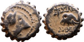 Demetrius I Soter (Seleukid King: 162-150 BC). AE bronze. Obv.: head of horse left. Rev.: head of elephant right.
