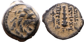Antiochus VII Sidetes (Seleukid King: 138-129 BC ) bronze coins. Obv.: Head of Lion. Rev.: Club