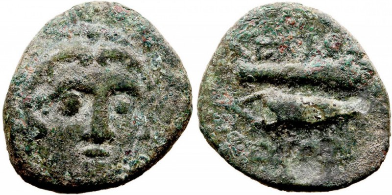 ISLAS DE CARIA. Cos. AE-16. (C. 210-180 a.C.) A/Cabeza de Herakles de frente. R/...