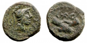 LUCANIA. Paestum. Semis. AE. (90-44 a.C.) A/Cabeza con casco a der., delante ley. y detrás S. 3,92 g. CRA.32. MBC+/MBC. Pátina verde.