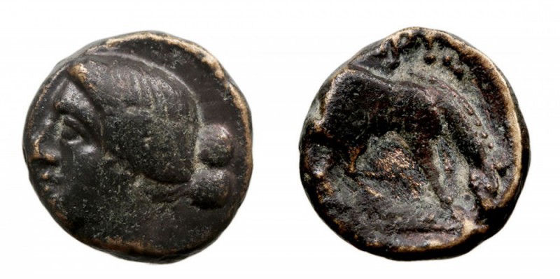 TESALIA. Larissa. Hemichalkon. AE. (C. 320-280 a.C.) A/Cabeza de la ninfa Lariss...