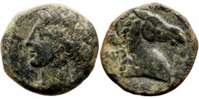 ZEUGITANIA. Cartago. Calco. AE. (Siglo III-II a.C.) A/Cabeza de Tanit a izq. R/Prótomo de caballo a der. 5,11 g. GC.6525 VTE. MBC. Pátina verde.