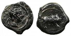 CASTULO, CAZLONA (JAÉN). Cuadrante. AE. A/Cabeza diademada a der. R/Jabalí a der. sobre línea, debajo (ley.) y encima estrella. 3,44 g. AB.735. MBC. P...