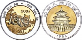 People's Republic bi-metallic gold & silver Proof Panda 500 Yuan (5 oz AU, 2 oz Ag) 1995 Proof Details (Tooled) NGC, KM728, Cheng-pg. 169, 1, PAN-241A...