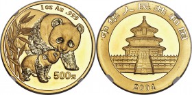 People's Republic gold Panda 500 Yuan (1 oz) 2004 MS68 NGC, KM1537, PAN-372A. Appealing cameo contrast with no apparent flaws.

HID09801242017