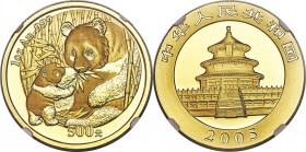 People's Republic gold Panda 500 Yuan (1 oz) 2005 MS69 NGC, KM1582, PAN-388A. Shimmering with bright watery finish and not a mark to speak of.

HID098...