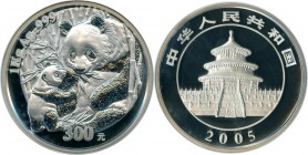 People's Republic silver Proof Panda 300 Yuan (1 Kilo) 2005 PR64 Ultra Cameo NGC, KM1587, PAN-395A. Mintage: 1,000.

HID09801242017