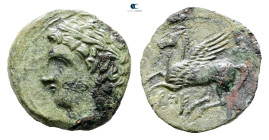 Sicily. Panormos as Ziz circa 336-330 BC. Bronze Æ