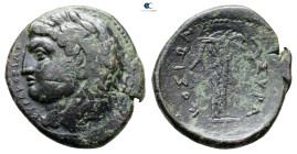 Sicily. Syracuse. Pyrrhos . Bronze Æ