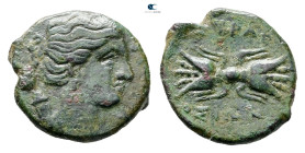 Sicily. Syracuse. Agathokles 317-289 BC. Bronze Æ