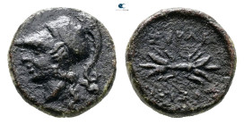 Sicily. Syracuse circa 310-304 BC. Bronze Æ
