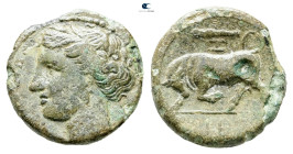Sicily. Syracuse. Hieron II 275-215 BC. Bronze Æ